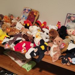 Beanie Baby Collection