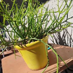 Vintage USA Pottery Planter