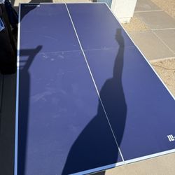 Ping Pong Table 