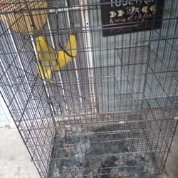 Pet Cage