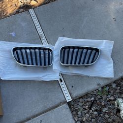 Bmw Kidney Grille
