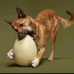 Super Chewer Dog Toy