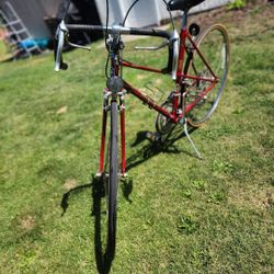 Classic Miyata 710 road Bike 