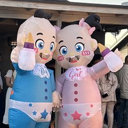 Gender Reveal 