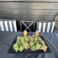 Easter Table Decor Succulents 
