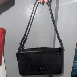 Coach Pouch Bag 
