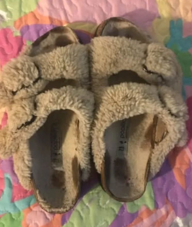 Sherpa 2 Buckle Slides By Birkenstock For Papillio