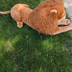 Large Stuffed Animals 