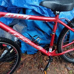 Genesis twenty nine inch nottin bike