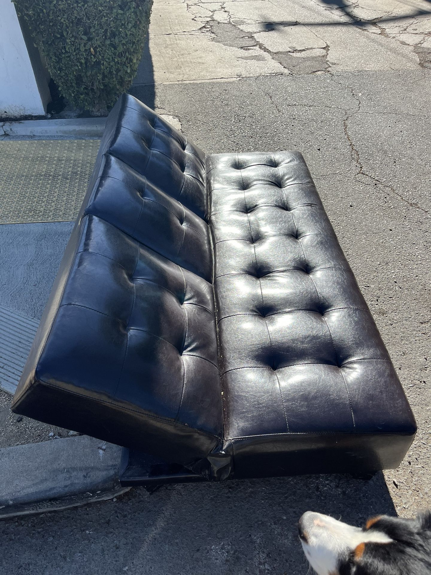 Leather Futon