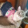 Lucy
