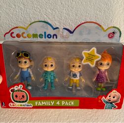 Toy