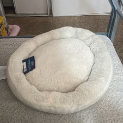 Little Dog Bed