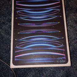 Box iPad Pro 11-inch (4th Generation) 256 GB