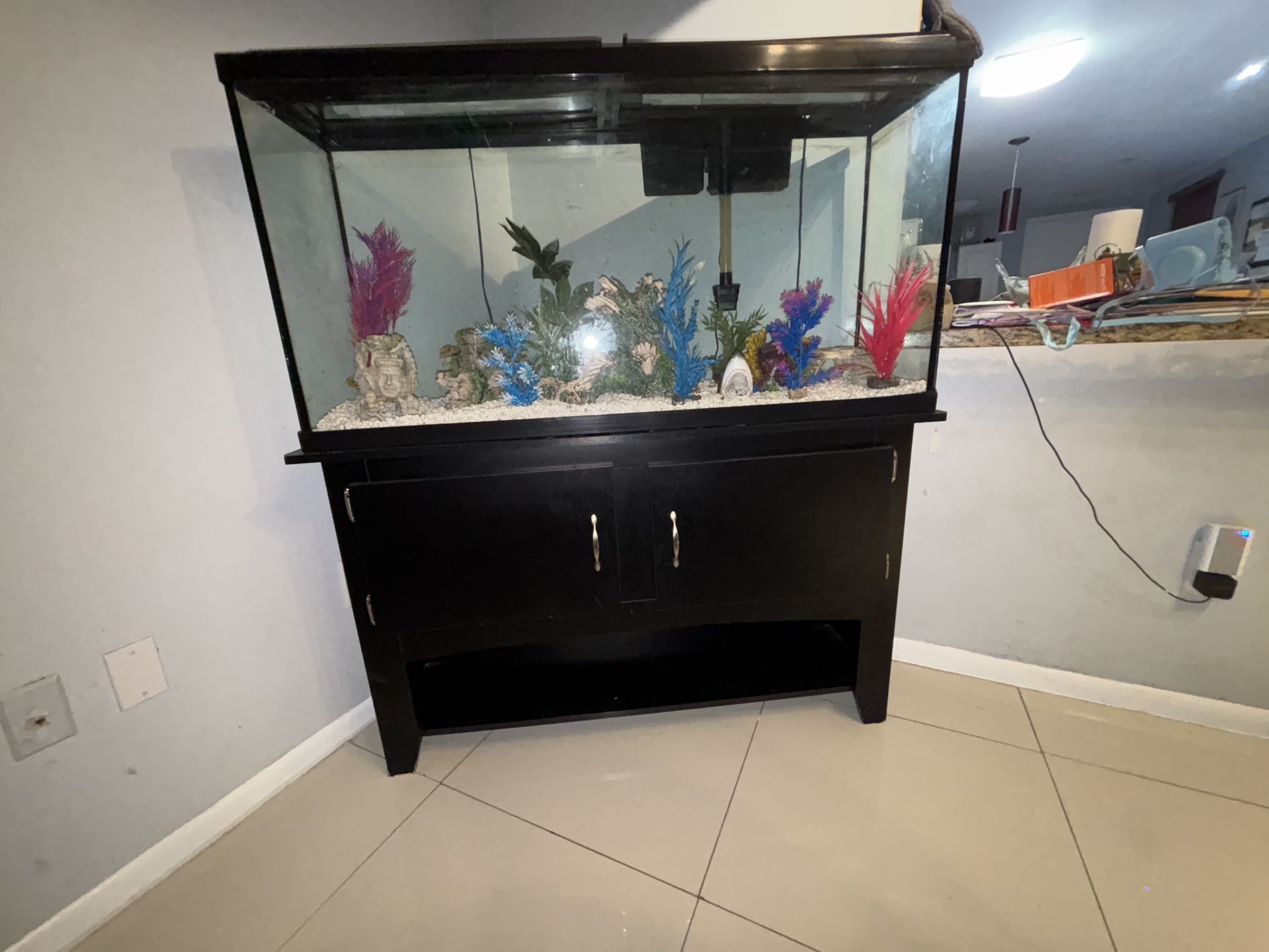 Fish Tank With Cleaning Supplies
