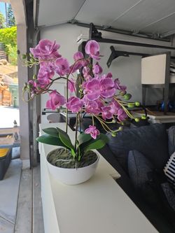 Flower arrangement