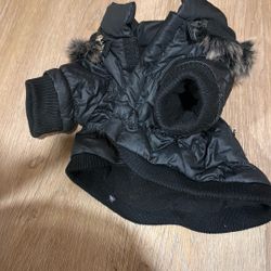 Dog Coat