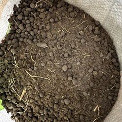 Natural Fertilizer