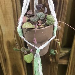 String Of Hearts 2 1/2 Pot With Macramé 