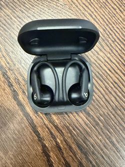 Powerbeats Pro. Used for 3 months max