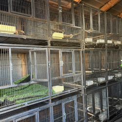 Bird Cage Divider Breeding Cages