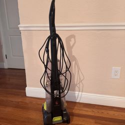 This Old Turbo, Clean Power Brush, Pet