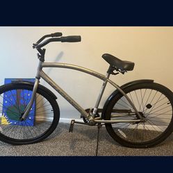 Sea Change Kent  Cruiser 26 Male Adult 