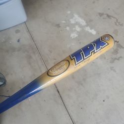 Dynasty Baseball Bat