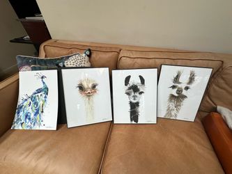 Set of 4 Rachel Brown Fine Art Animal Prints (3 Framed)