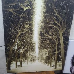 Hampton Gates Promenade Canvas Art Piece 