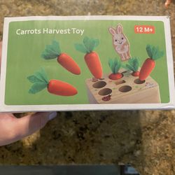 Carrot Montessori Toy