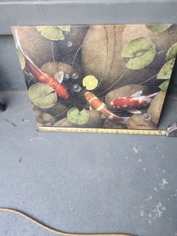 Koi Fish 