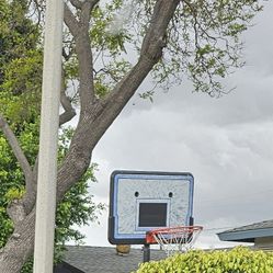 Free Basketball Portable Hoop
