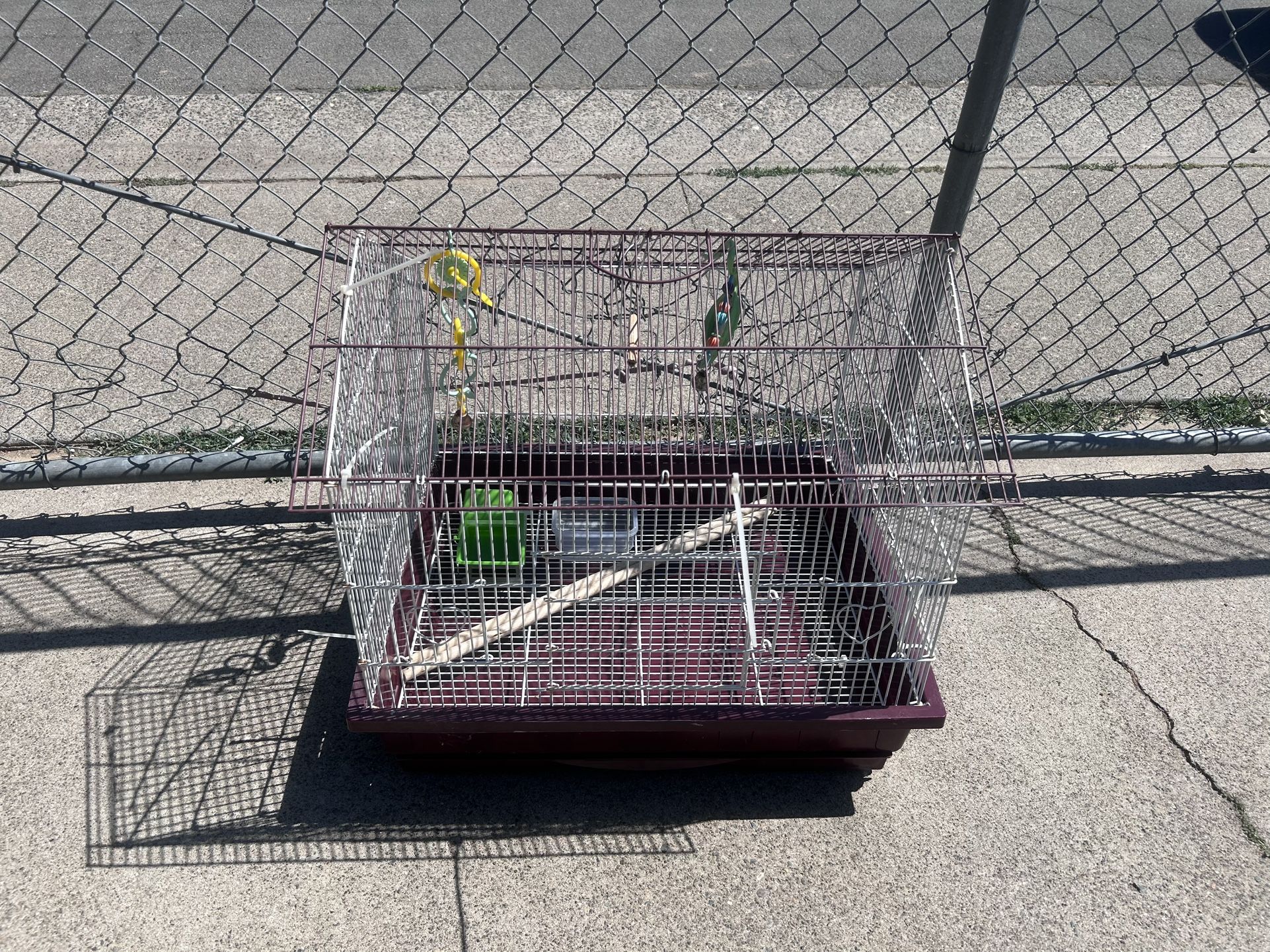 Bird Cage