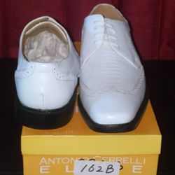 Men’s Dress Shoe  Sz12
