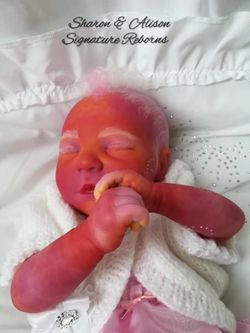 Pink Alternative Reborn Baby Girl 🍼👼🎀👶