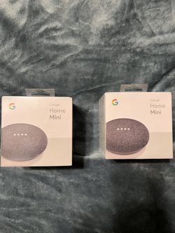 2 Google Home Mini