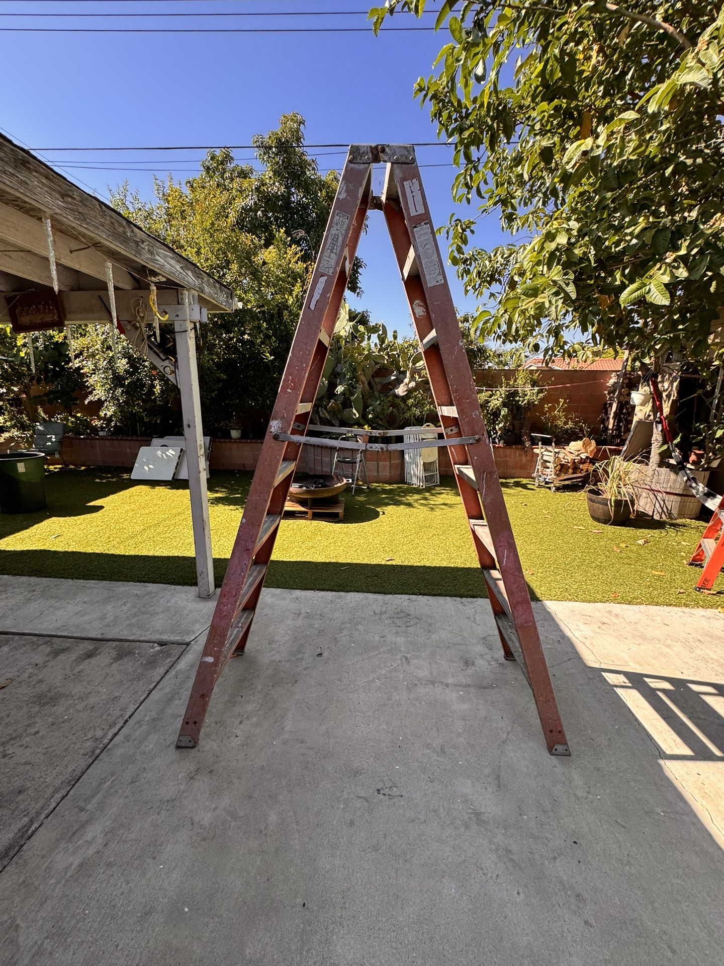 10 Foot Ladder 