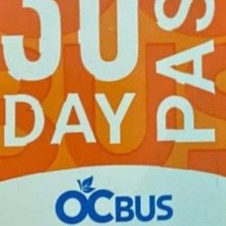 OCTA 30DAY