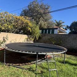 14 Ft Trampoline With Enclosure Net and Ladder