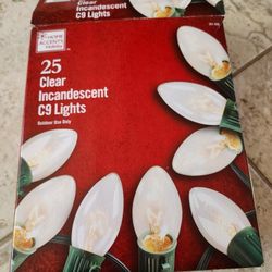 Outdoor Christmas Lights 🎄 🎅 