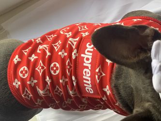 dog clothes