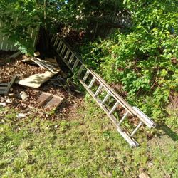 Ladder 30 Ft 