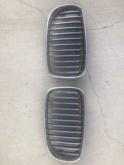 BMW grilles