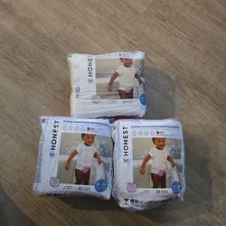 Honest Training Pants 66ct. Total