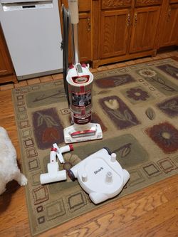 Shark vacuum