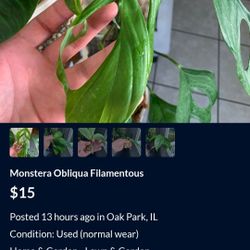 Plant Scammer