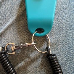 Dog Puppy Training Clicker. Eastside or West