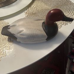 Sign Wood Duck