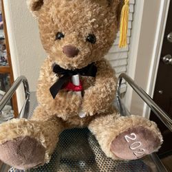 Graduation Bear 2022